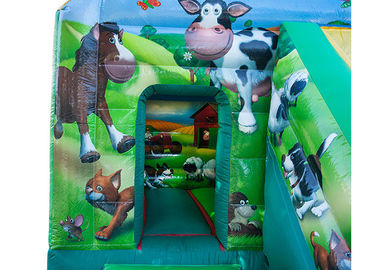combinato gonfiabile del cortile di 12ftx18ft, Camera di salto verde di rimbalzo dei bambini con lo scorrevole