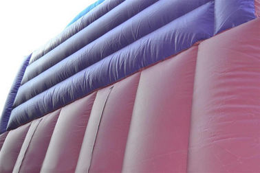 principessa Inflatable Dry Slide, scorrevole rimbalzante gigante porpora di 30ft dello scorrevole di Faires