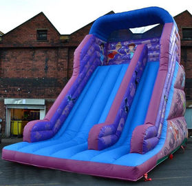 principessa Inflatable Dry Slide, scorrevole rimbalzante gigante porpora di 30ft dello scorrevole di Faires