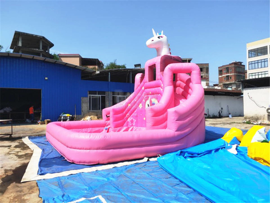 Scorrevole rosa mobile di principessa Bouncer With Pool del parco gonfiabile dell'acqua sotterranea di Commerical