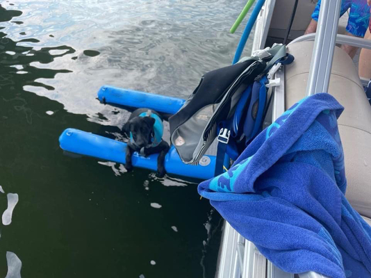 Non-slip EVA schiuma portatile pieghevole rampa per barca per cani per l'acqua per animali domestici aiuto per cani scale rampa per piccoli cani fino a 230 libbre