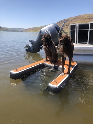 Rampa per cani pieghevole e regolabile gonfiabile Rampa per cani dock rampa scala per animali domestici Rampa per cani per piscine, laghi, barche e banchine