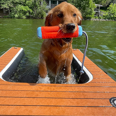 Cani giochi d'acqua gonfiabile cucciolo pianta rampa per cani rampa per animali pianta pianta pianta piattaforma galleggiante in vendita rampa gonfiabile per cani