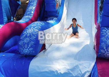 acquascivolo gonfiabile congelato PVC di 0.55mm con lo stagno/gioco gigante del parco dell'acqua di divertimento