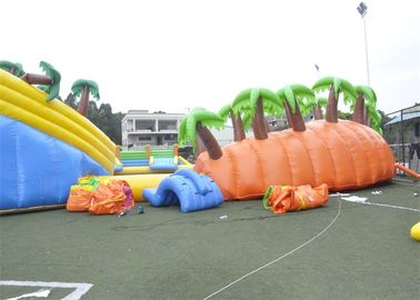 Parco gonfiabile stupefacente dell'acqua dell'attrezzatura all'aperto gigante del gioco per i bambini