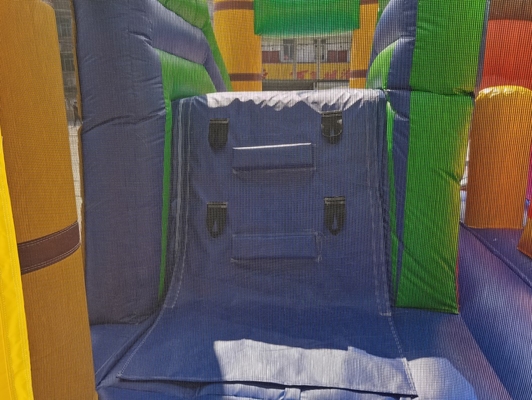 PVC Lion Jumping Castle For Kids animale gonfiabile 5mLX5mWX4mH