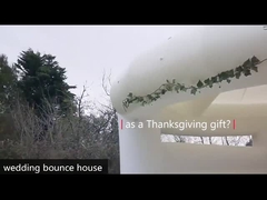 Salto da sposa in PVC castello a rimbalzo con scivolo e pozzo a palla