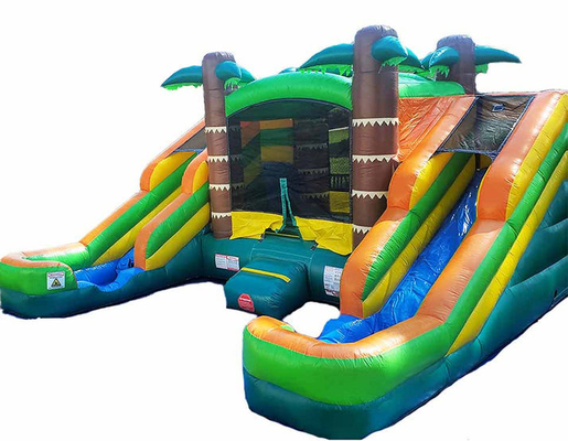 Bagnato o asciutto Double Slide Tropical Bounce House Combo Jumping Castle per bambini