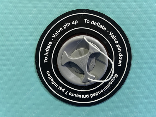 Piscina per bambini in PVC DWF con colore personalizzato e copertura, piscina gonfiabile in tessuto Drop Stitch per il nuoto