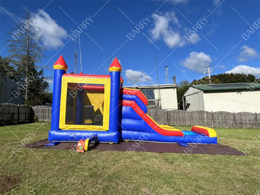 Commercial Jumping Castle Bouncy House per bambini Bouncing Castle Blower Free Design