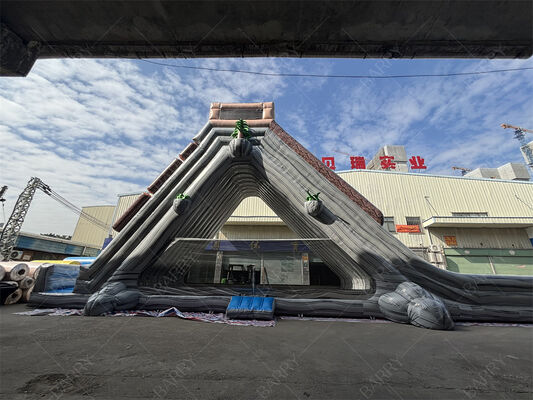 Scivolo acquatico gonfiabile gigante di grado commerciale, scivolo a doppia corsia a tema tropicale bagnato / asciutto per parchi di divertimento e festival