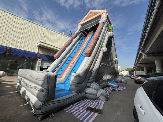 Scivolo acquatico gonfiabile gigante di grado commerciale, scivolo a doppia corsia a tema tropicale bagnato / asciutto per parchi di divertimento e festival