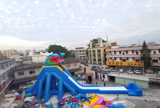 Scorrevole eccellente del parco di divertimenti di Dragon Inflatable Water Slides Adult