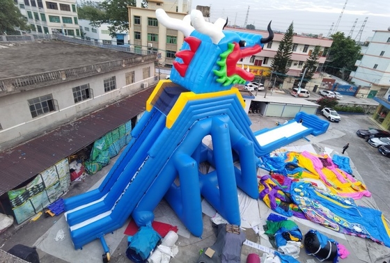 Scorrevole eccellente del parco di divertimenti di Dragon Inflatable Water Slides Adult