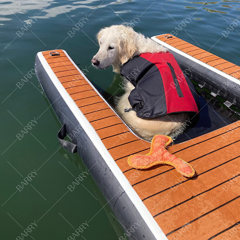Drop Stitch Fabric Eva Dimensione personalizzata e pompa d'aria accessorio pieghevole gonfiabile rampa d'acqua per cani per yacht dock