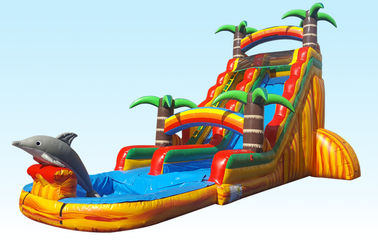 Acquascivoli gonfiabili materiali del PVC di Barry 22FT Paradise tropicale con stampa di seta