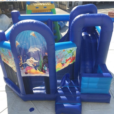 Scorrevole gonfiabile di principessa Bounce House With del cortile EN71