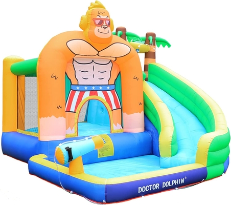 Scorrevole del dottore Dolphin Inflatable Water per la Camera di rimbalzo dell'acqua del bambino con lo stagno della spruzzata