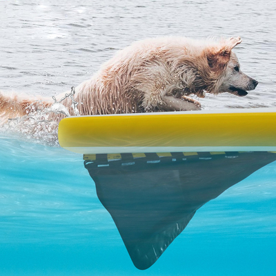 Rampata idrica gonfiabile per barca, piscina per cani Rampata gonfiabile leggera per cani Scala morbida per cani, piattaforma a scalinata