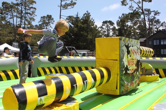 Macchina gonfiabile del gioco di fusione di corsa ad ostacoli di Wipeout della tela cerata su ordinazione