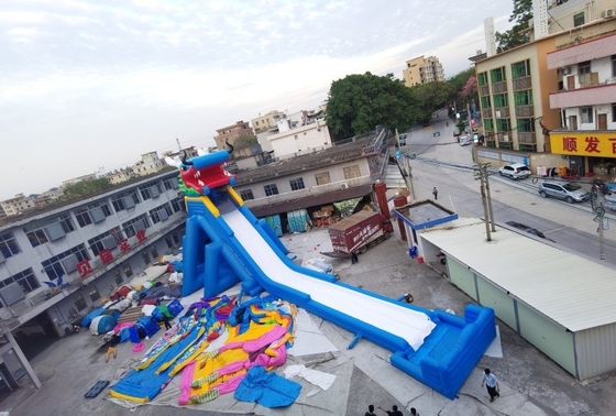 Scorrevole eccellente del parco di divertimenti di Dragon Inflatable Water Slides Adult