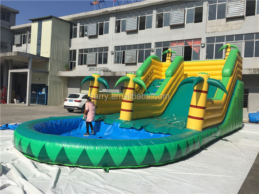 Waterslide gonfiabile 12X5m del cocco ignifugo