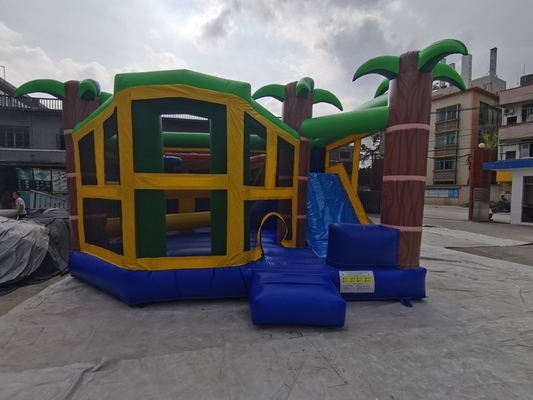 Scorrevole gonfiabile Colourful del castello di rimbalzo del PVC di Platone combinato